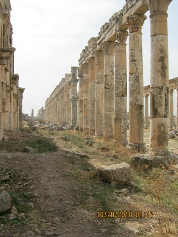Apamea in 2011
